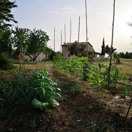 Casa Rural Restaurante Mas Del Rei Hotel กาลาเซย์เต ห้อง รูปภาพ