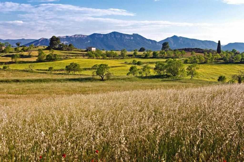Casa Rural Restaurante Mas Del Rei Hotel กาลาเซย์เต ภายนอก รูปภาพ