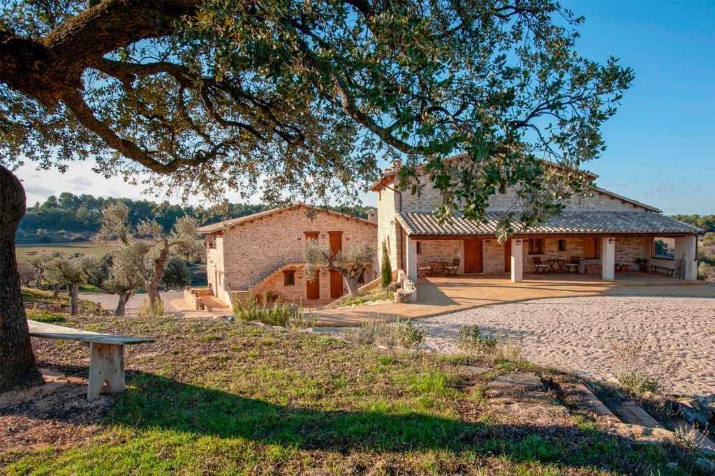 Casa Rural Restaurante Mas Del Rei Hotel กาลาเซย์เต ห้อง รูปภาพ