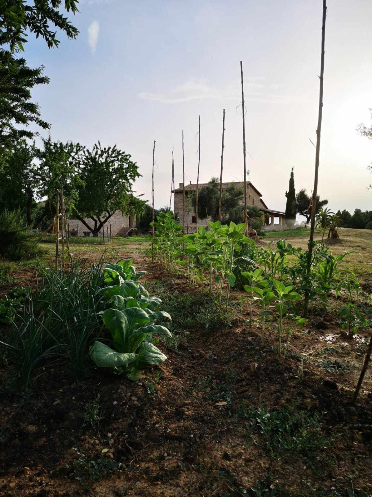 Casa Rural Restaurante Mas Del Rei Hotel กาลาเซย์เต ห้อง รูปภาพ