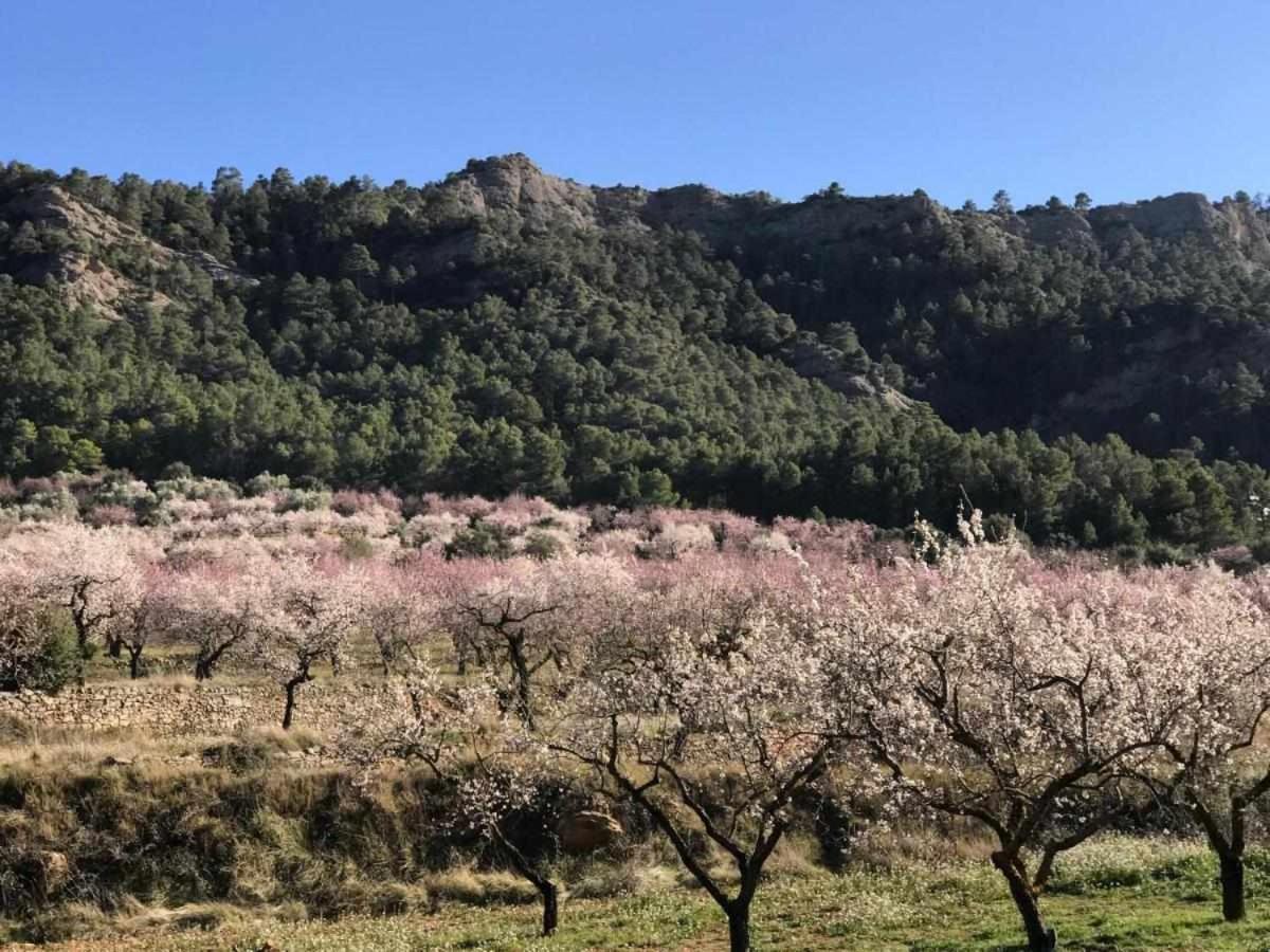 Casa Rural Restaurante Mas Del Rei Hotel กาลาเซย์เต ห้อง รูปภาพ